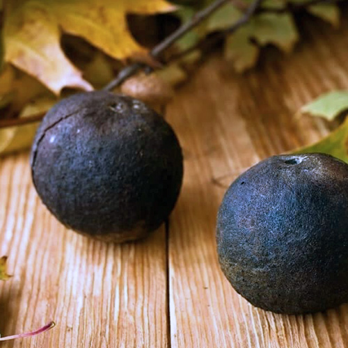 Especially for Breastfeeding Kerry's Herbals